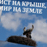 Нефтеюганские активисты, волонтеры, творческие коллективы и неравнодушные жители города присоединятся к всероссийской акции «Аист на крыше», приуроченной ко Дню памяти и скорби. - Администрация г. Нефтеюганска